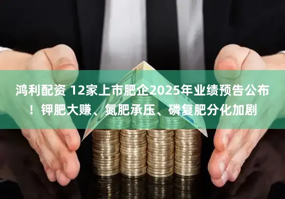 鸿利配资 12家上市肥企2025年业绩预告公布！钾肥大赚、氮肥承压、磷复肥分化加剧