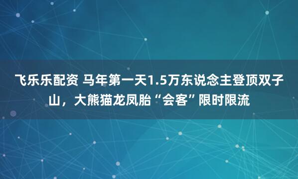 飞乐乐配资 马年第一天1.5万东说念主登顶双子山，大熊猫龙凤胎“会客”限时限流