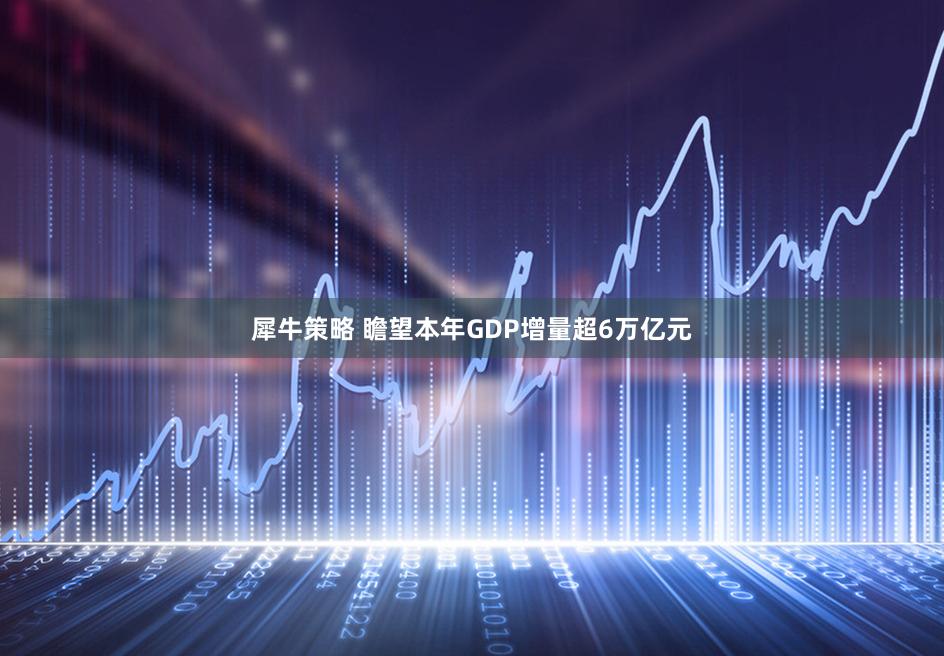 犀牛策略 瞻望本年GDP增量超6万亿元