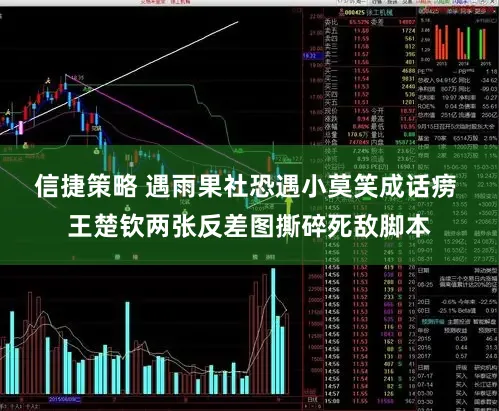 信捷策略 遇雨果社恐遇小莫笑成话痨 王楚钦两张反差图撕碎死敌脚本