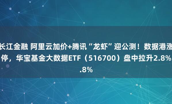 长江金融 阿里云加价+腾讯“龙虾”迎公测！数据港涨停，华宝基金大数据ETF（516700）盘中拉升2.8%