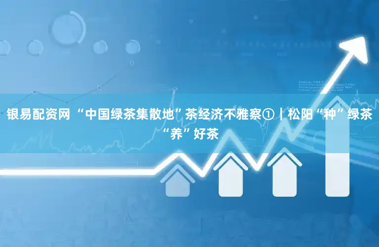 银易配资网 “中国绿茶集散地”茶经济不雅察①｜松阳“种”绿茶“养”好茶