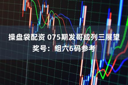 操盘袋配资 075期发哥成列三展望奖号：组六6码参考