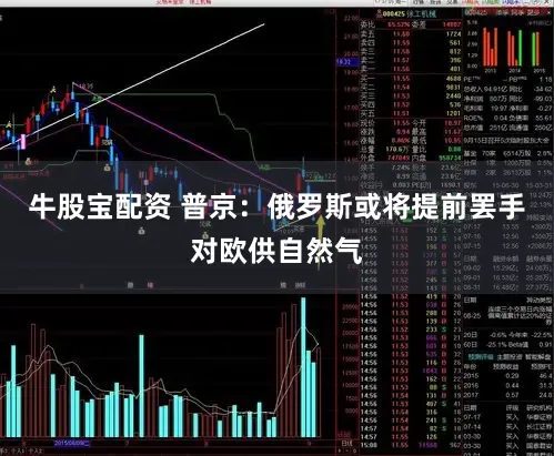 牛股宝配资 普京:俄罗斯或将提前罢手对欧供自然气