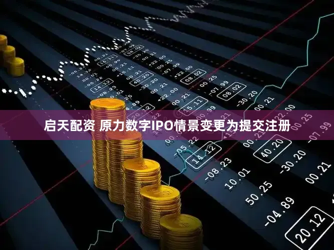 启天配资 原力数字IPO情景变更为提交注册