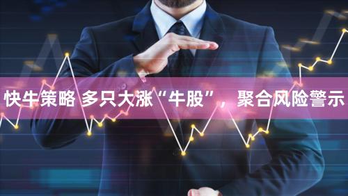 快牛策略 多只大涨“牛股”，聚合风险警示